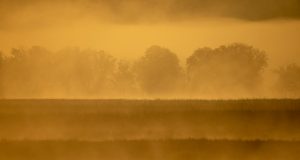 2026 Teknoloji Alışverişi: Doğru Ürünü Seçme Sanatı 2026 Teknoloji Alışverişi: Doğru Ürünü Seçme Sanatı