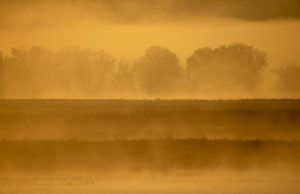 2026 Teknoloji Alışverişi: Doğru Ürünü Seçme Sanatı 2026 Teknoloji Alışverişi: Doğru Ürünü Seçme Sanatı
