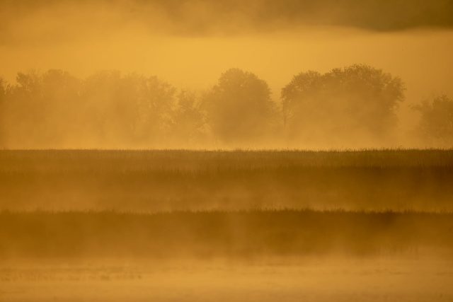 2026 Teknoloji Alışverişi: Doğru Ürünü Seçme Sanatı 2026 Teknoloji Alışverişi: Doğru Ürünü Seçme Sanatı
