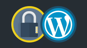 WordPress Güvenlik Ayarları: Site Nasıl Korunur?