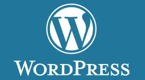 WordPress Eklentisiz Giriş Logosunu Değiştirme WordPress Eklentisiz Giriş Logosunu Değiştirme